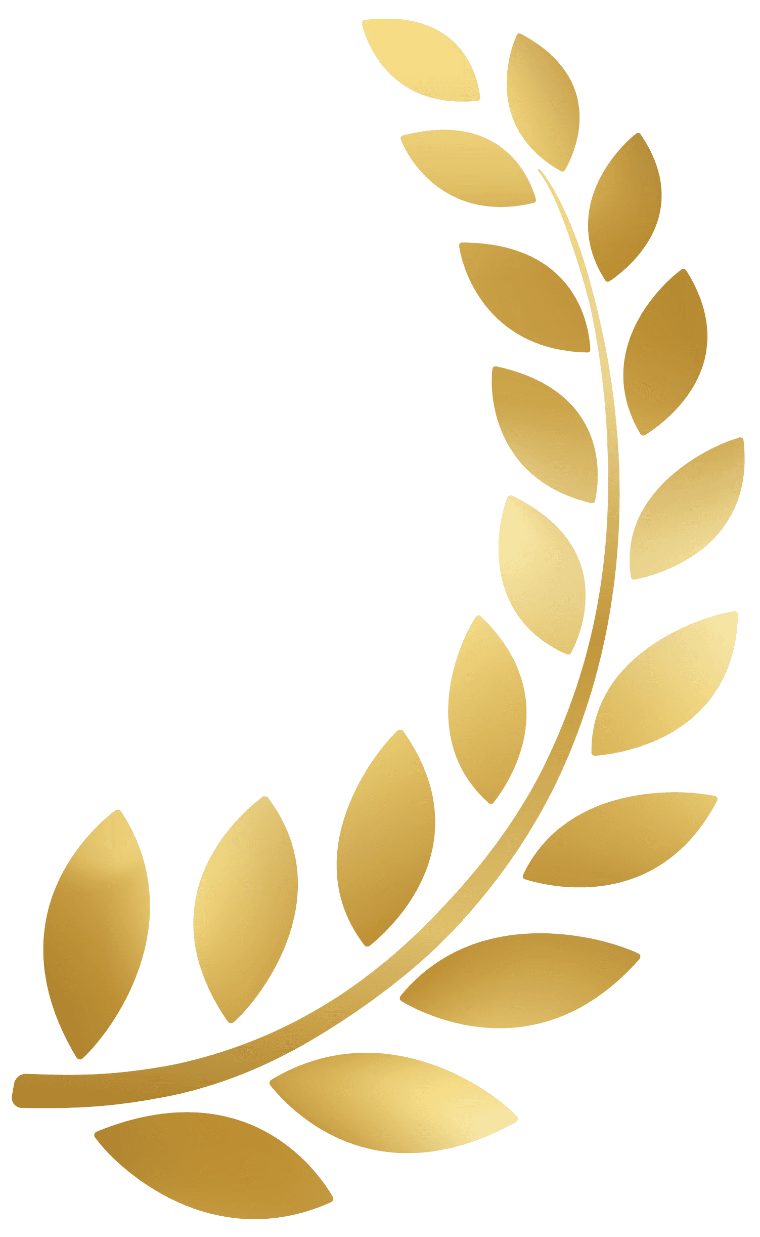 CTA Icon